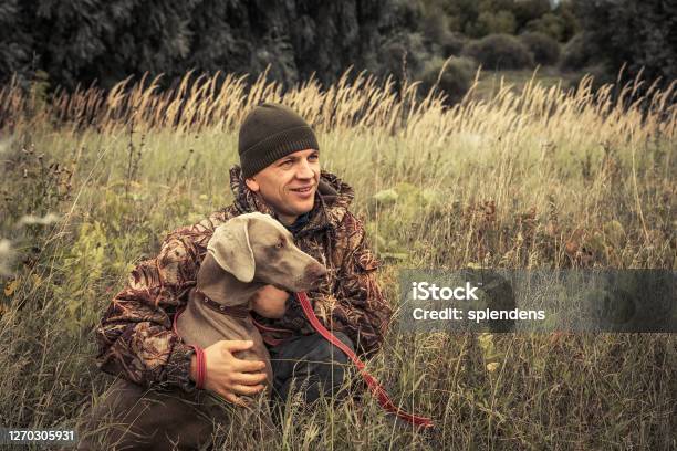 Hunter Man With Hunting Dog Weimaraner In Tall Grass In Rural Field During  Hunting Season Stock Photo - Download Image Now - iStock