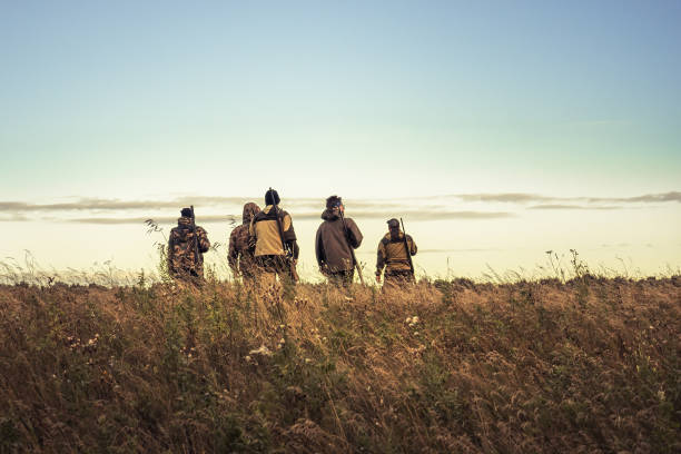 Hunters silhouettes against sky going through rural field towards horizon during hunting season Hunters silhouettes against sky going through rural field towards horizon during hunting hunter stock pictures, royalty-free photos & images