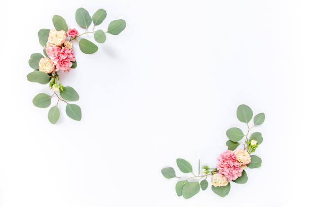 istock Border frame with pink rose flower buds and eucalyptus branches isolated on white background. Flat lay, top view. Floral background. Floral frame 1270306388