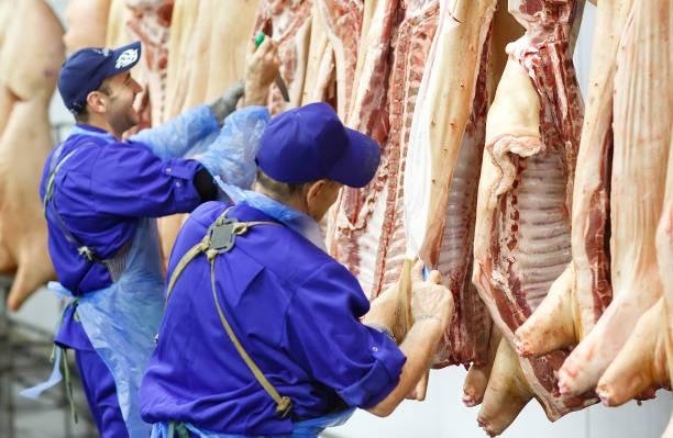 istock Butcher cutting pork at the meat manufacturing. 1270306488