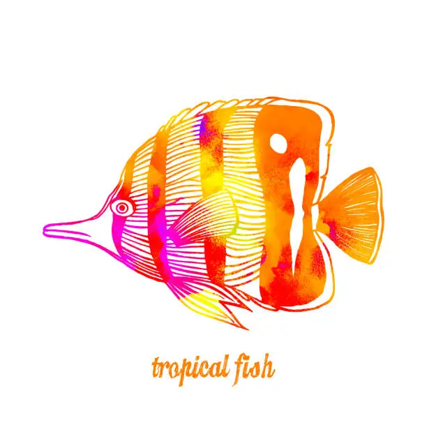 Vector illustration of Watercolor Multi Colored Tropical Fish Isolated. Hand Painted Clip Art Design Element for Labels, Business Cards, Flyers.