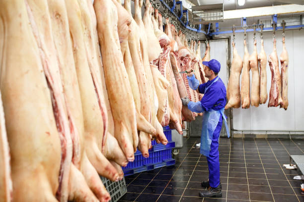 istock Butcher cutting pork at the meat manufacturing. 1270306913