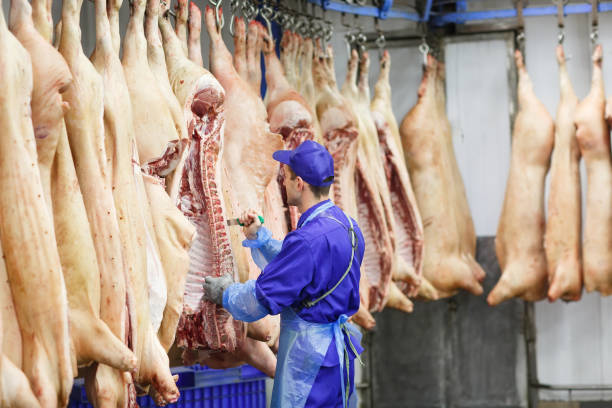 istock Butcher cutting pork at the meat manufacturing. 1270307132