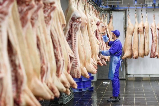istock Butcher cutting pork at the meat manufacturing. 1270307144