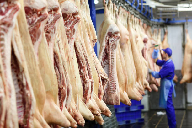 istock Butcher cutting pork at the meat manufacturing. 1270307154