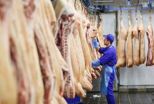 istock Butcher cutting pork at the meat manufacturing. 1270307158