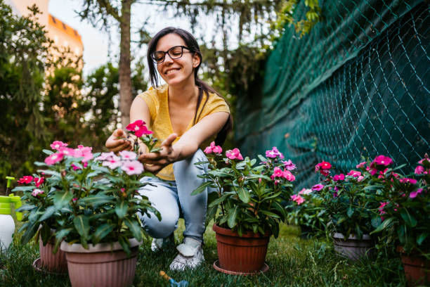istock Woman nurture her garden 1270308234