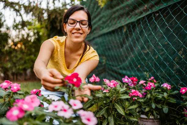 istock Woman nurture her garden 1270308264