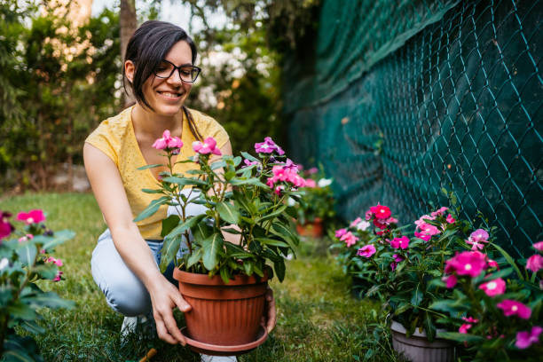 istock Woman nurture her garden 1270308283