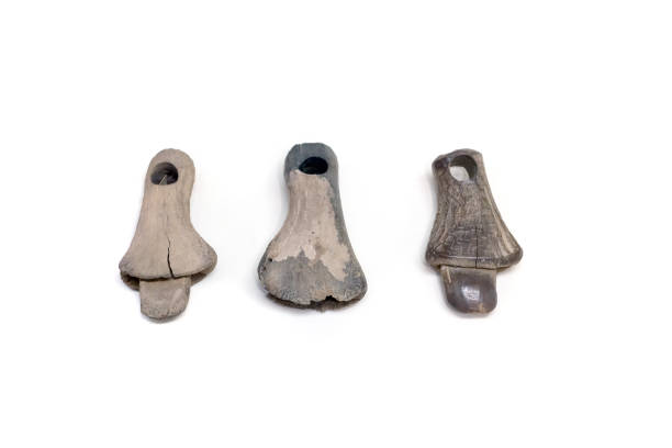 istock Wooden tools of labor of ancient people 1270308452