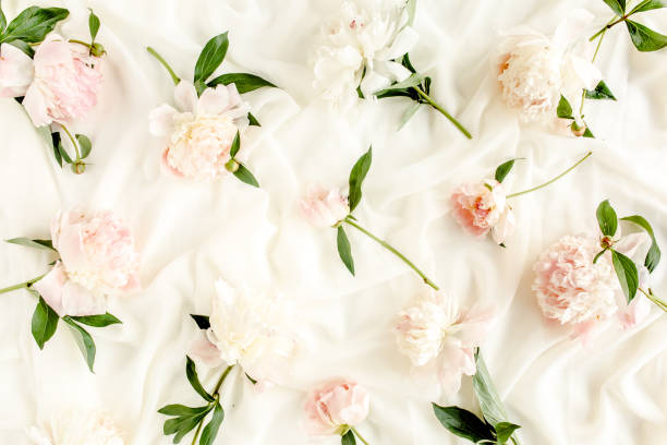 istock Pattern of pink and beige peony flowers. Peony texture. Flat lay, top view 1270308685