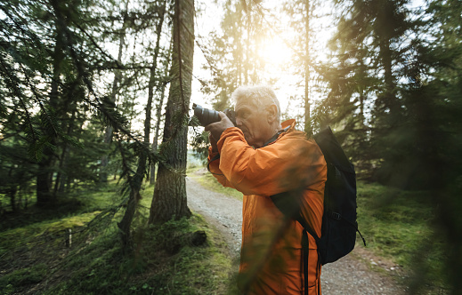 Senior photographer hiking in the forest of the Dolomites, Italy, taking pictures
