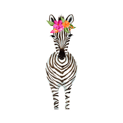 Zebra watercolor adorned with pink and orange flower crown