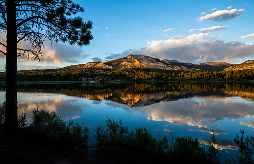 Perfectly flat, calm lake reflecting the red rock cliff above at sunset. Silhouette of tree and brush in front.