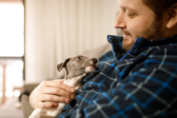 istock Puppy on lap looking at man's face 1270330290