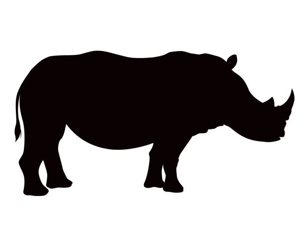African Rhinocerous Animal Silhouette An African animal silhouette. File is built in CMYK for optimal printing, the black is a rich black. rhinoceros stock illustrations