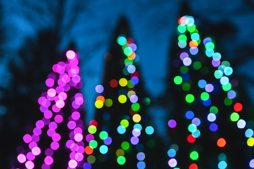 Holiday background with illuminated Christmas trees in the park.