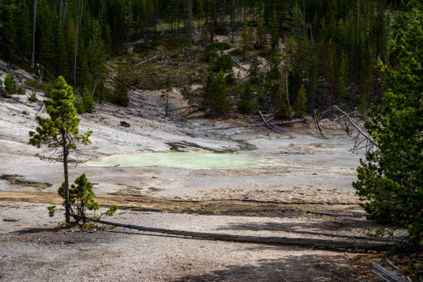 istock Frying Pan Springs in Yellowstone National Park 1270334815