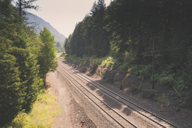 A close-up, tilt-shift view of a train trestle that rounds a curve and slowly vanishes into the distance