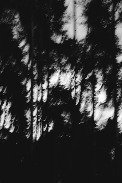 istock Natural backgrounds,forest background,landscape photography 1270335008