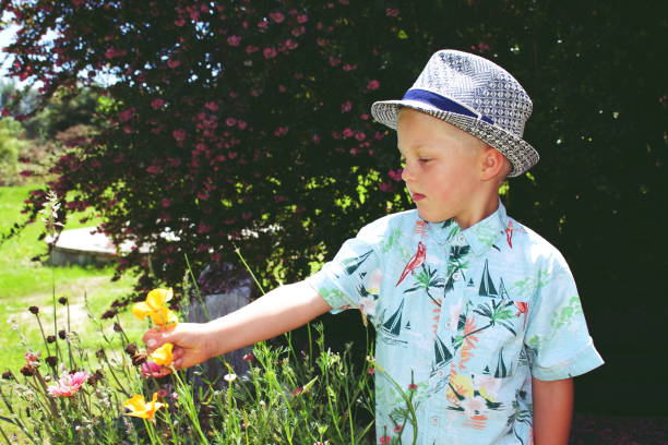 istock Child Picking Flowers in Garden 1270335914