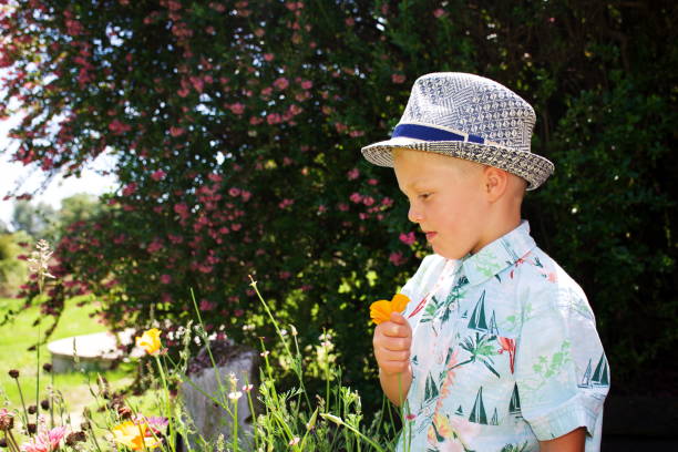 istock Child Picking Flowers in Garden 1270335926