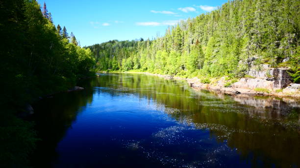 istock Small river with reflection of blue sky in forest 1270336716