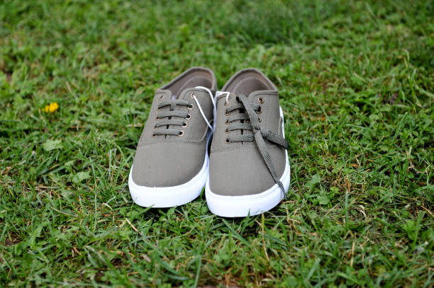 istock white and green sneakers for men 1270337958