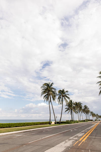 istock Tall Tropical Palm Trees on Palm Beach, Florida 1270340242