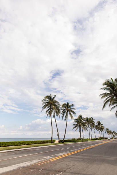 istock Tall Tropical Palm Trees on Palm Beach, Florida 1270340267