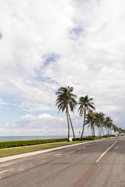 istock Tall Tropical Palm Trees on Palm Beach, Florida 1270340333
