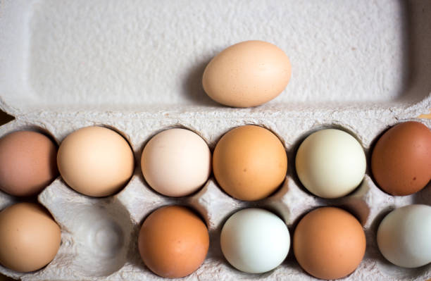 Organic Brown Eggs, Grey Carton, Odd Man Out