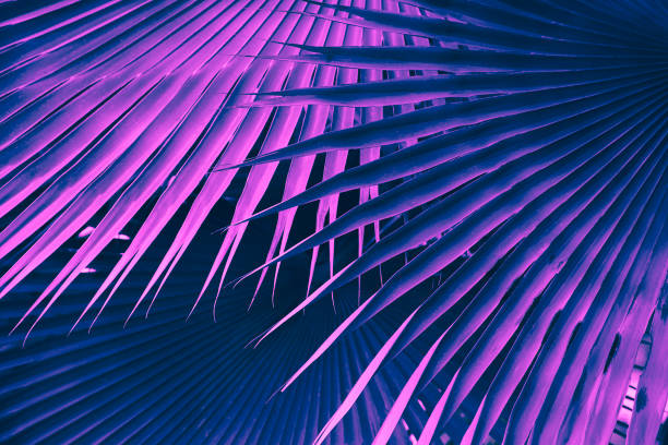 istock tropical leaves, abstract dark nature background 1270346913