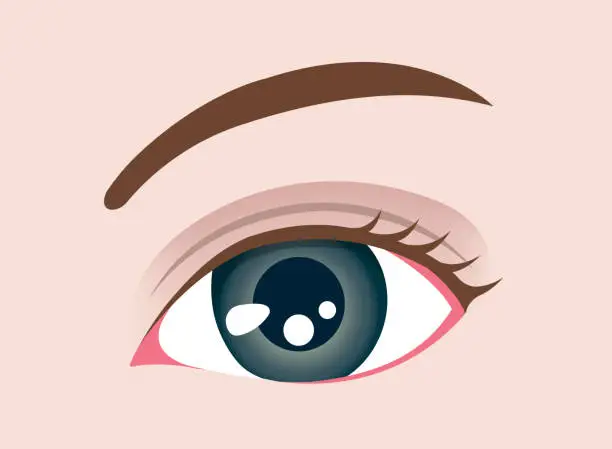 Vector illustration of Female close up eye vector illustration