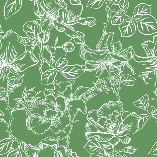 blumenblüte. silhouetten von großen rosen und blütenblättern. umriss skizze konturzeichnung, linienkunst. nahtloses muster aus gartenblumen. modedesign für stoff und textil, postkarten, tapeten. - silhouette backgrounds floral pattern vector stock-grafiken, -clipart, -cartoons und -symbole