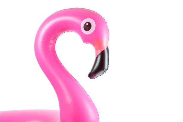 istock Pink pool. Inflatable flamingo for summer beach isolated on white background. Pool float party. 1270357456