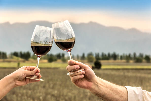 tostare con vino rosso di fronte ai vigneti. mendoza, argentina. - agriculture winemaking cultivated land diminishing perspective foto e immagini stock