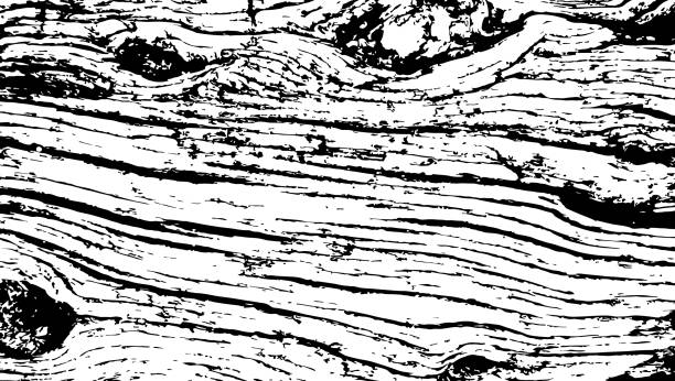 Old cracked and gnarly wooden log texture Vector black and white texture of a surface of an old gnarly wooden log with multiple knots. gnarly wood texture stock illustrations