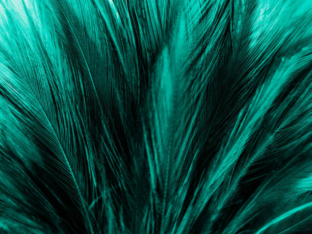 istock Beautiful abstract yellow and green feathers on dark background, black feather texture on dark pattern and green background, feather wallpaper, love theme, valentines day 1270360318