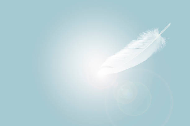 istock Feather abstract freedom concept background. Light a white bird feather floating in the air. 1270361101