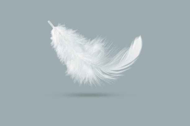 istock Light fluffy a white feather falling down in the air. Feather abstract freedom concept background. 1270361118