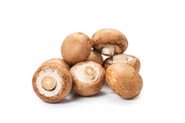 istock Tasty mushroom isolated on white background. 1270364315