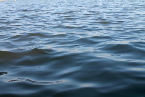 istock Calm shiny waves at sunset light on a lake surface 1270366531