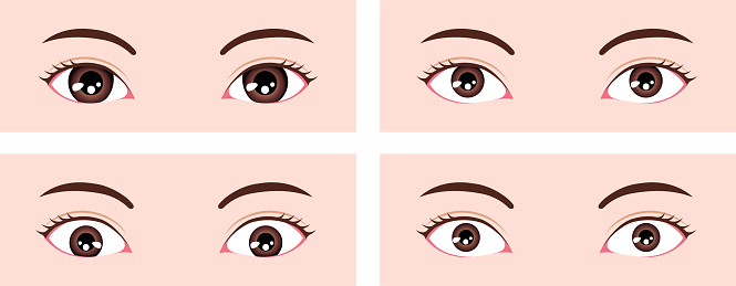 Various eye shapes (different eyeball size and position ) vector illustration ( Classifications in Asia )