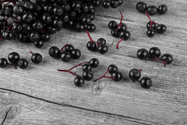 istock Black elderberries on a rustic wooden table, selected focus. Sambucus. 1270372106