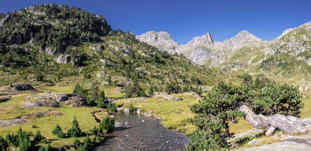 istock Panorama scenery with mountain river surrounded by French Pyrenees High mountains, National park, France 1270372185