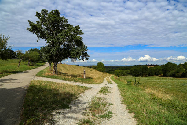istock Summer landscape with meadows and cloudy skies 1270372315
