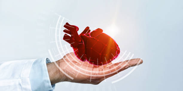 Illustration of afro doctor in coat holding virtual heart Closeup side view of black doctor holding virtual heart in open palm, panorama, white background coronary artery photos stock pictures, royalty-free photos & images