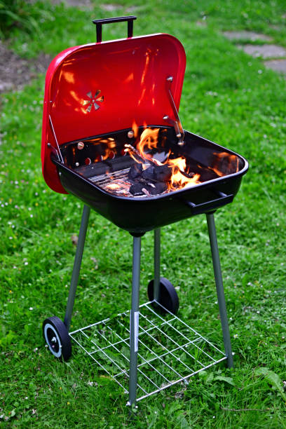 istock Summer barbecue in the garden. 1270375643