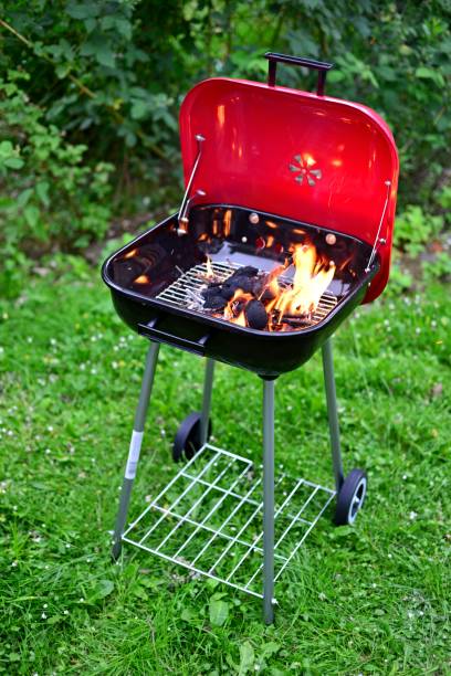 istock Summer barbecue in the garden. 1270375760